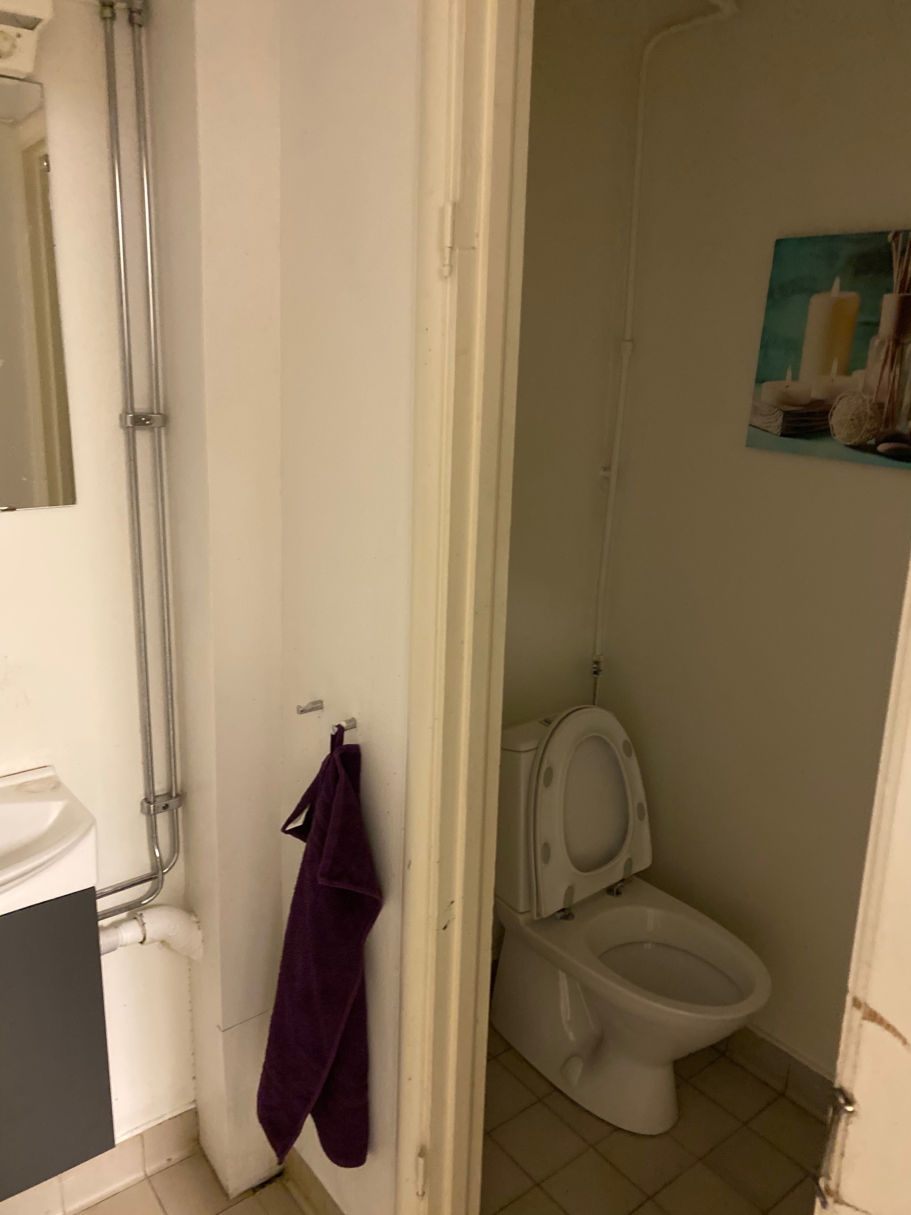 Liten toalett med synliga rör