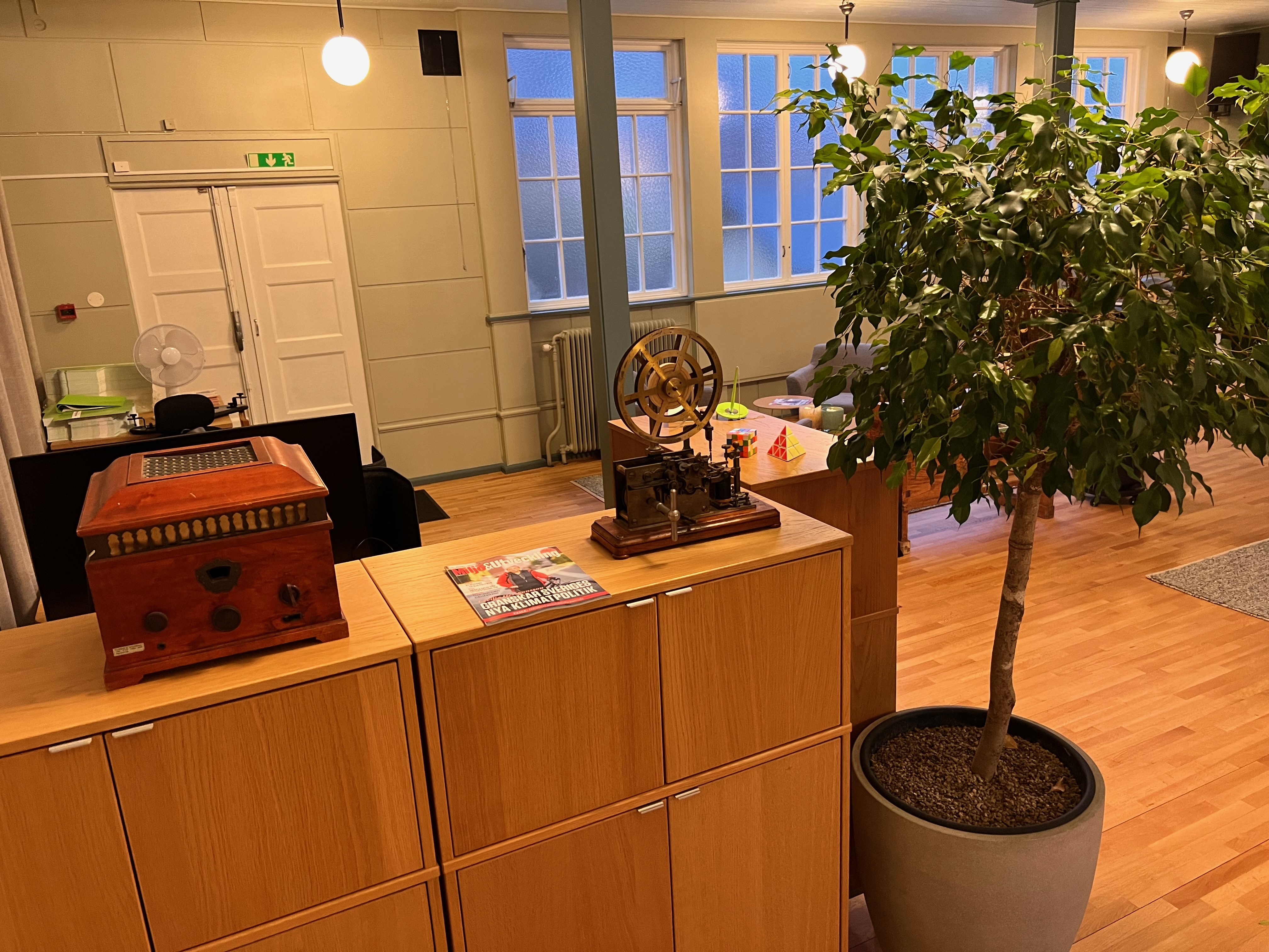 Interiördetalj med vintage radio och krukväxt